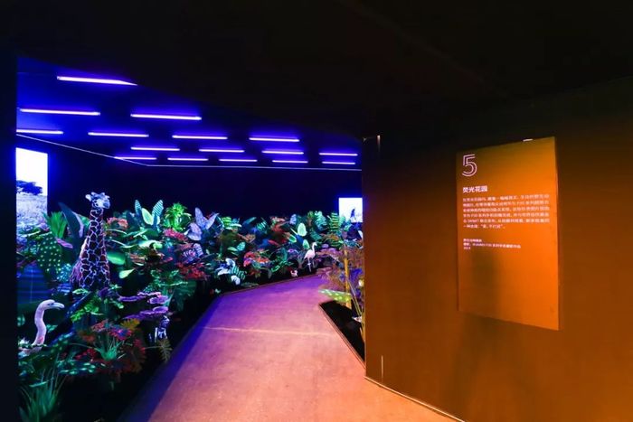 華為手機影像藝術展活動攝影走廊